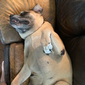 Meet your Posher, Joe